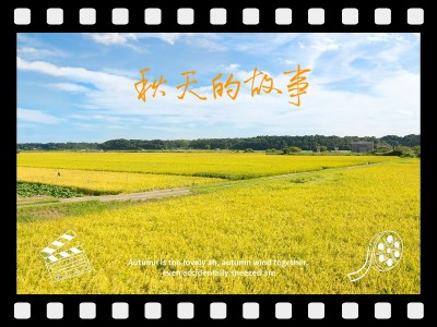 秋天风景晒照plog