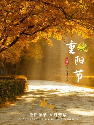 重阳节祝福简约风晒照plog模板