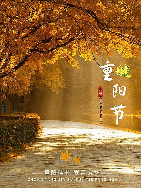 重阳节祝福简约风晒照plog模板