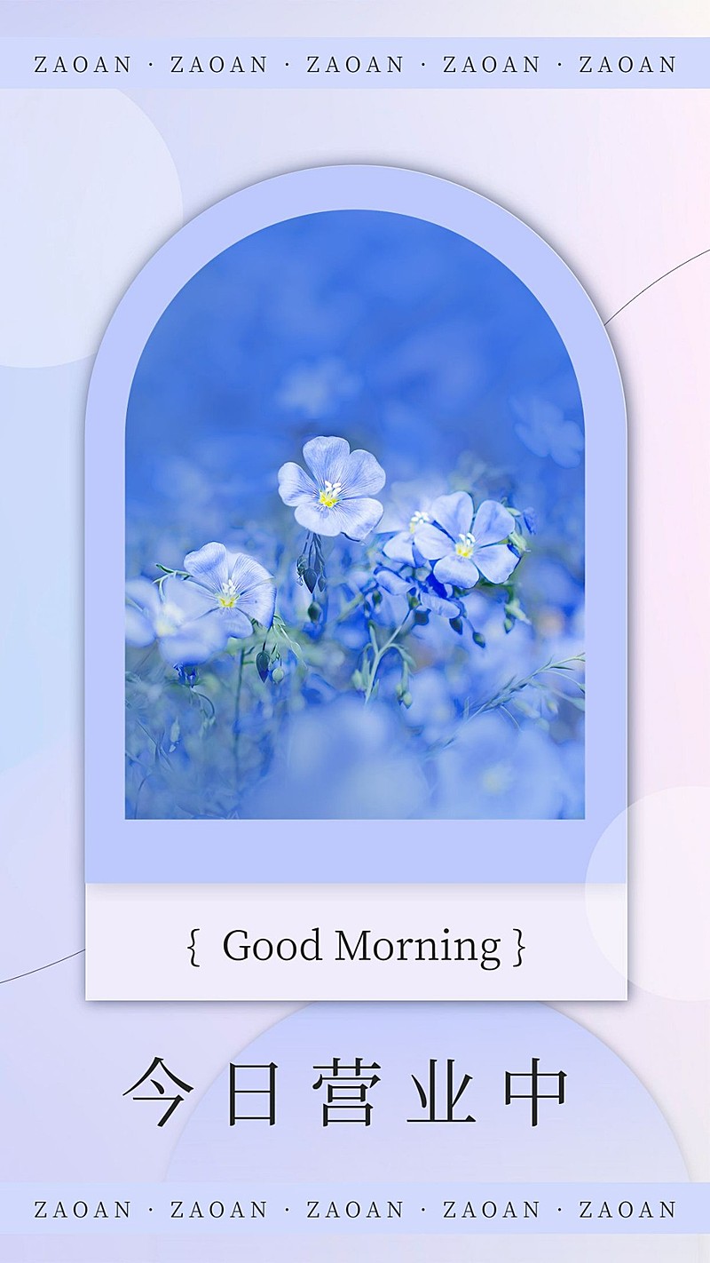 简约风明星语录日签打卡海报