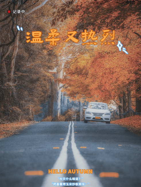 秋天复古风景晒照plog预览效果