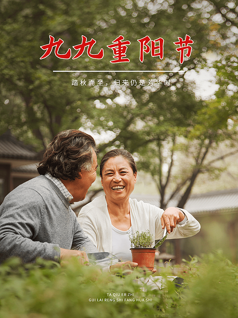 重阳节祝福极简风晒照plog模板