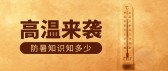 模板缩略图