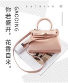 模板缩略图