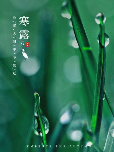 节气寒露晒风景简约风plog模板