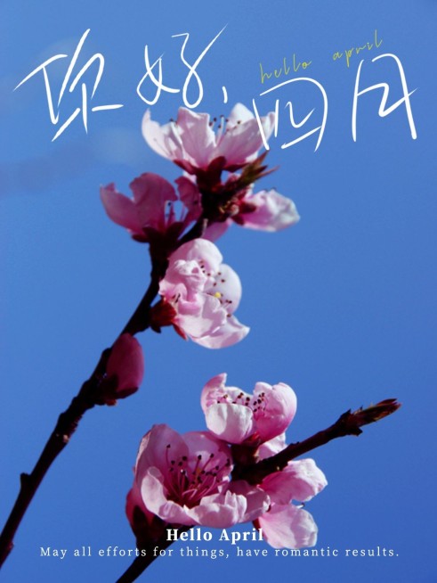 通用4月你好月初问候简约风plog模板预览效果