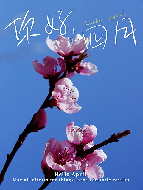 通用4月你好月初问候简约风plog模板