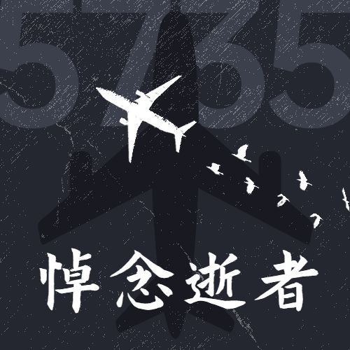 沉痛哀悼空难事件公众号次图预览效果