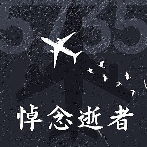 沉痛哀悼空难事件公众号次图