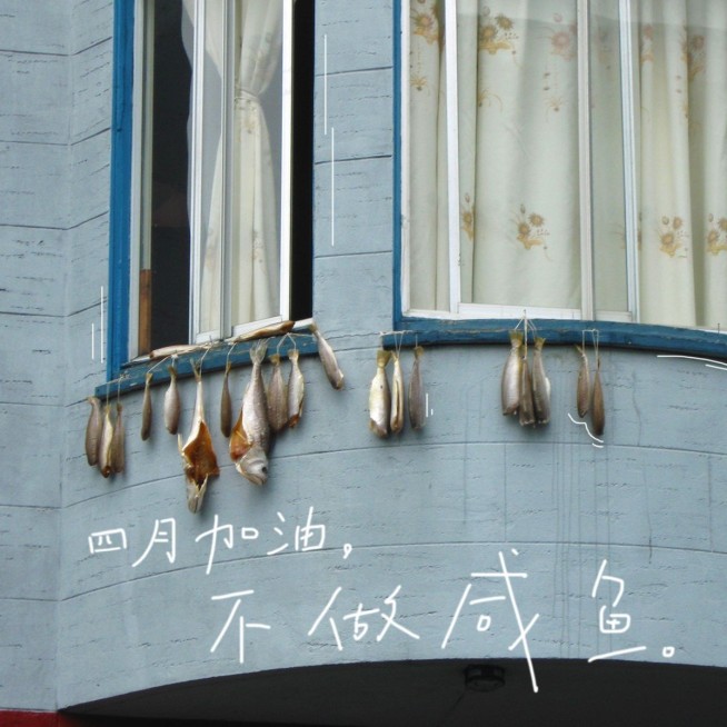 通用四月加油晒照文艺风plog模板预览效果