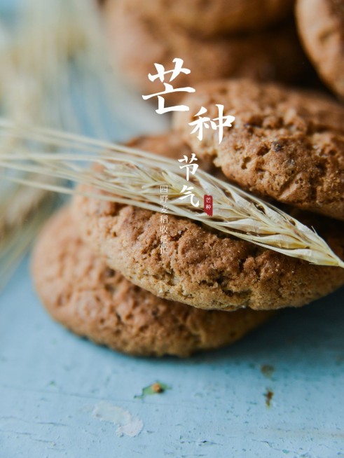 节气芒种晒照祝福中国风plog模板预览效果