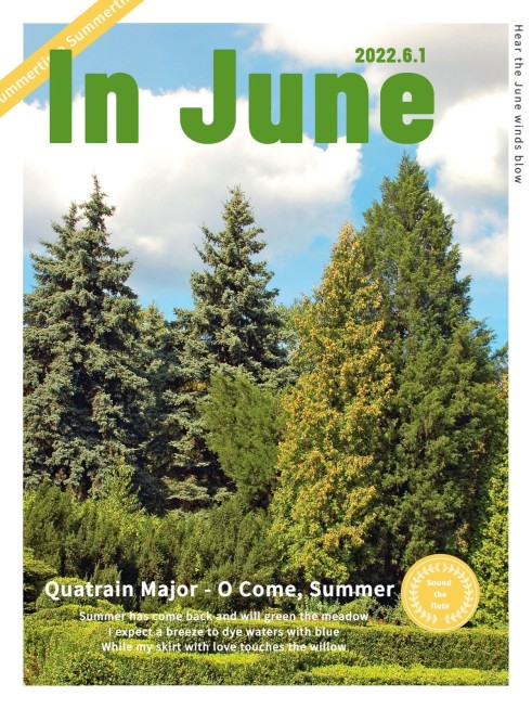 夏天森林自然风景晒照杂志风plog模板预览效果