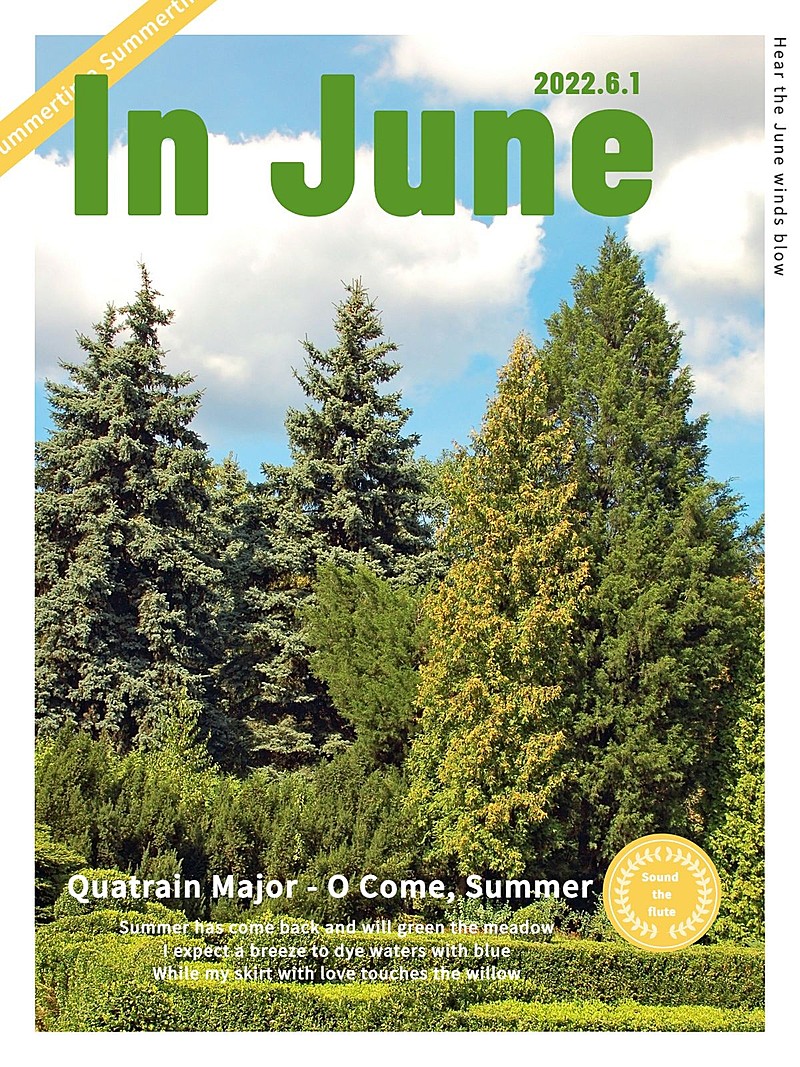 夏天森林自然风景晒照杂志风plog模板