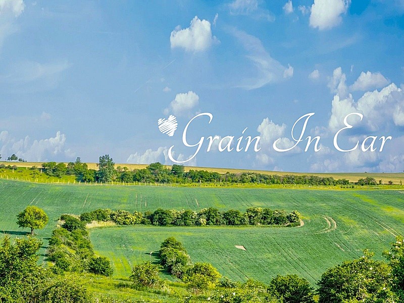 芒种节气天空云朵户外风景简约风plog模板