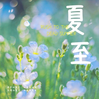 夏至节气风景晒花简约风plog模板