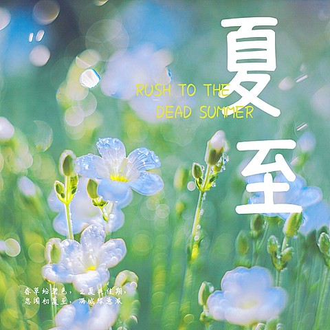 夏至节气风景晒花简约风plog模板
