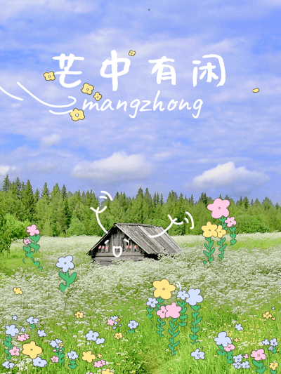 芒种节气风景文艺风plog模板