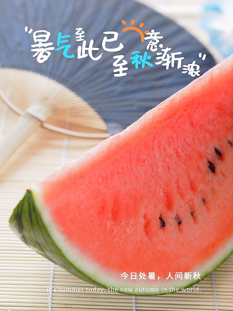 处暑西瓜清新晒照简约风plog模板