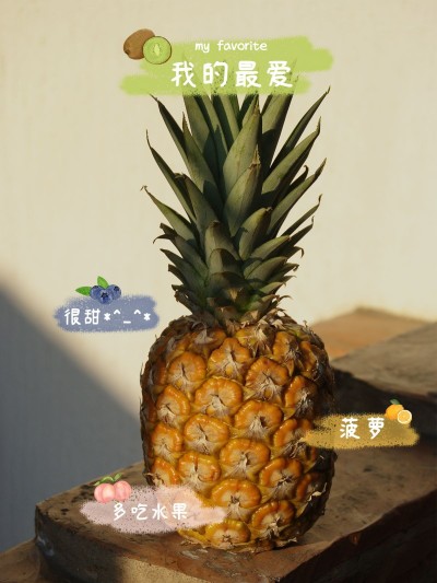 水果词卡美食菠萝简约风plog模板