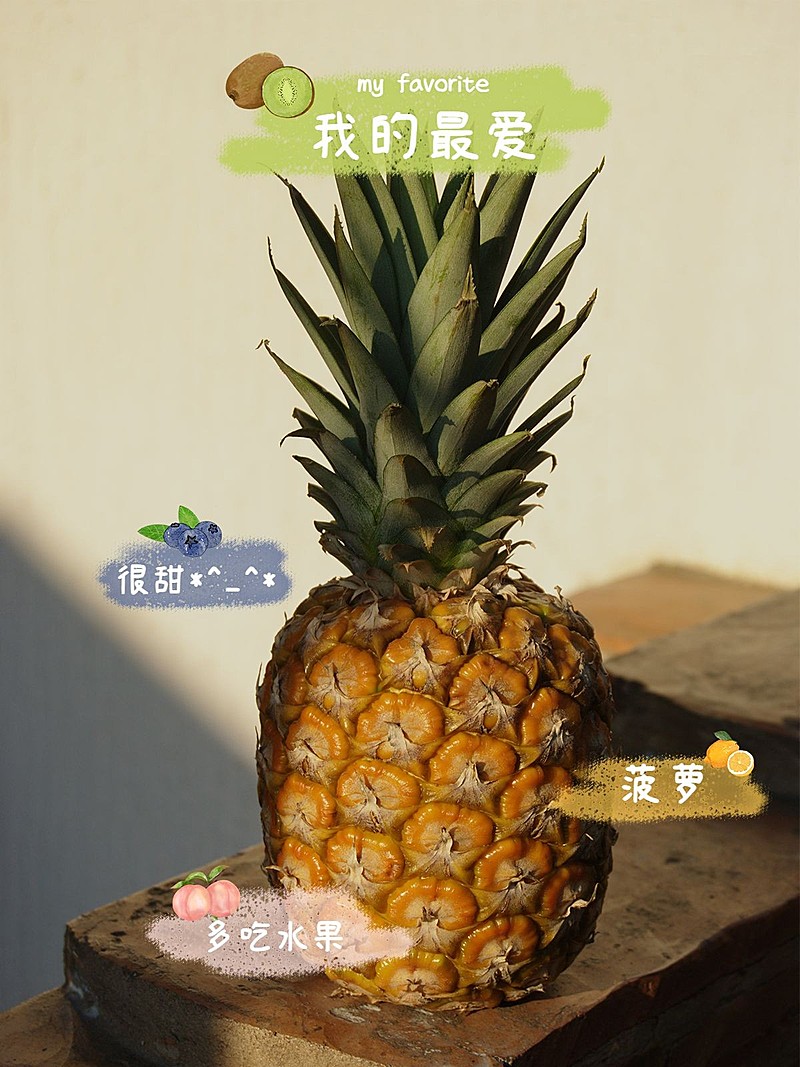 水果词卡美食菠萝简约风plog模板