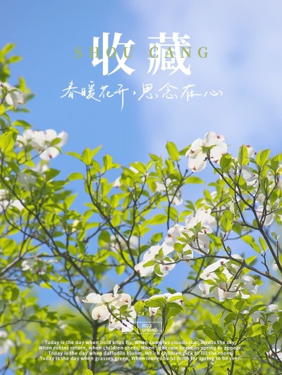 春天风景分享记录清新风plog模板