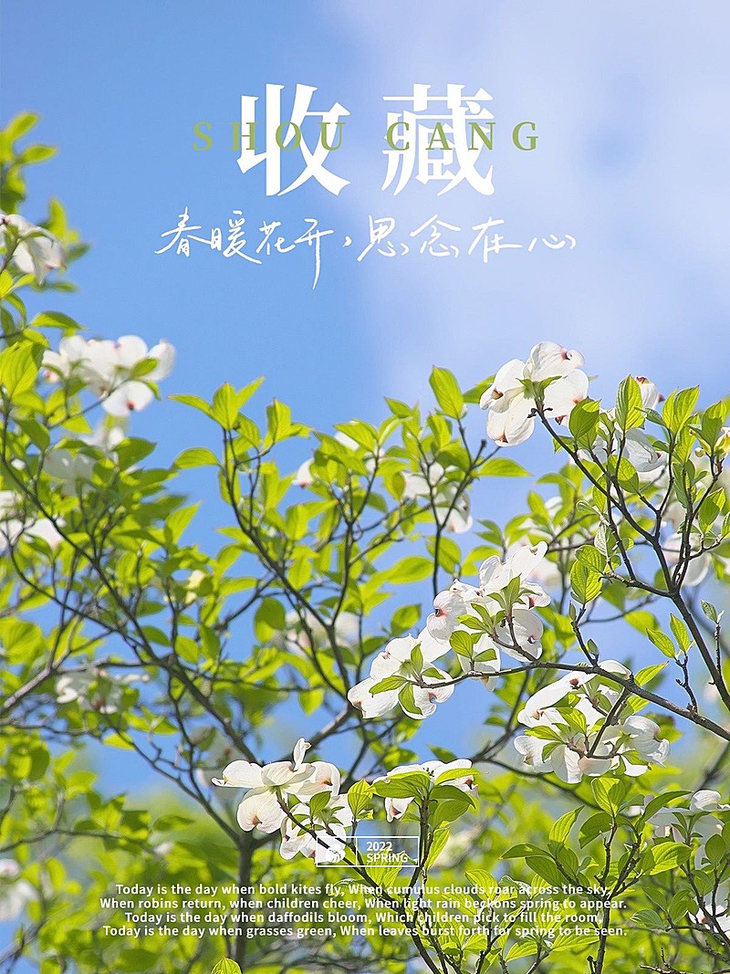 春天风景分享记录清新风plog模板