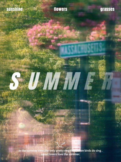 夏天风景踏青杂志风plog模板预览效果