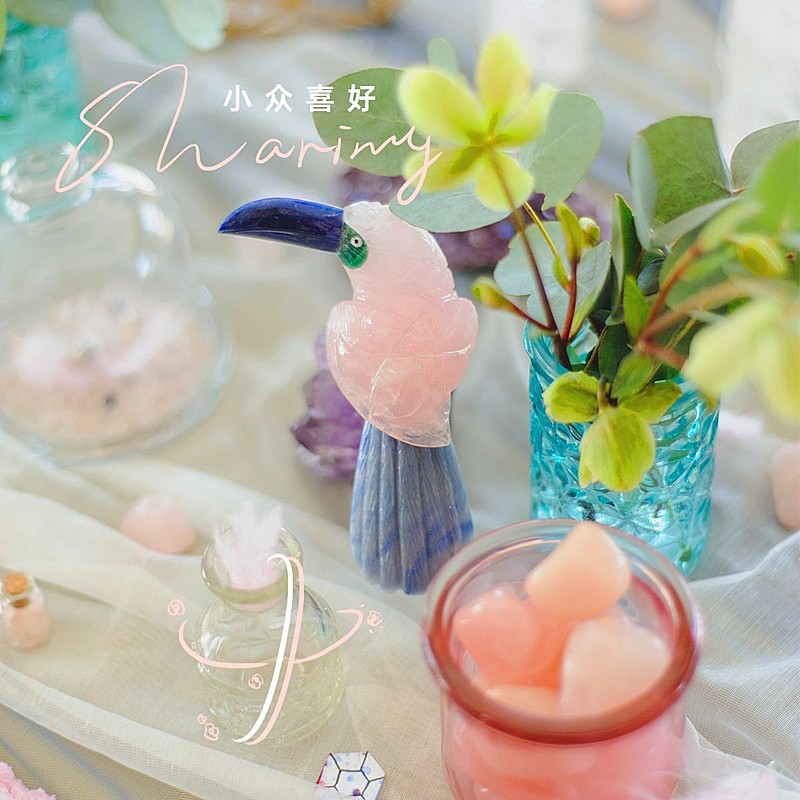 晒物生活词卡简约风plog模板