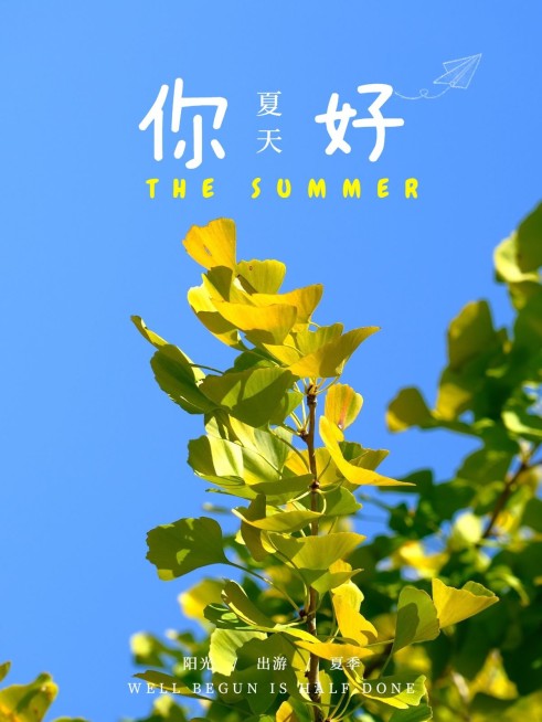 夏天你好季节问候简约风plog模板预览效果