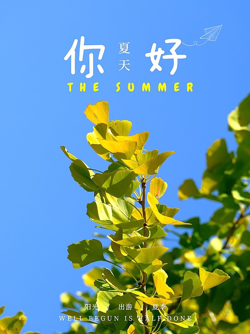 夏天你好季节问候简约风plog模板