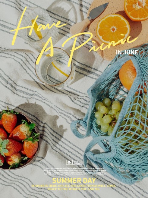 夏天晒食物野餐晒照晒图杂志风plog模板预览效果