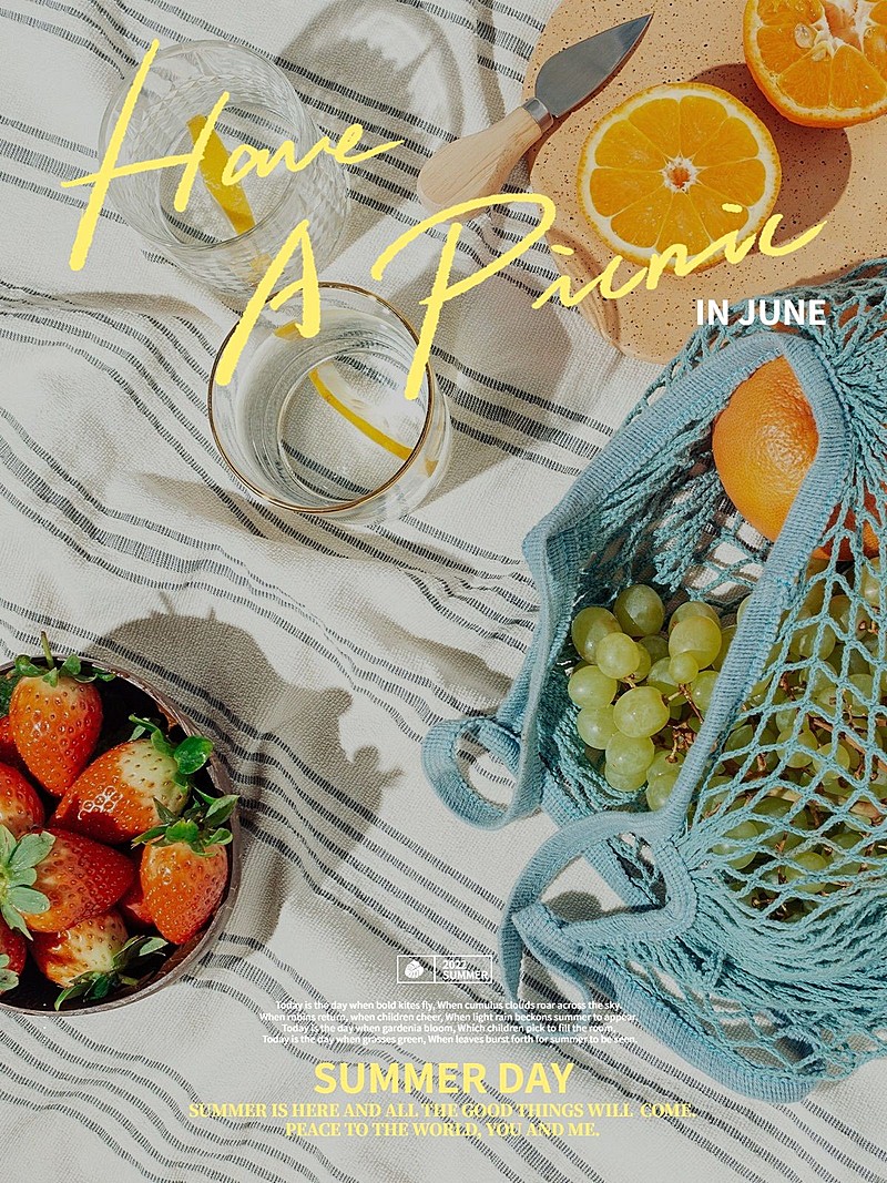 夏天晒食物野餐晒照晒图杂志风plog模板