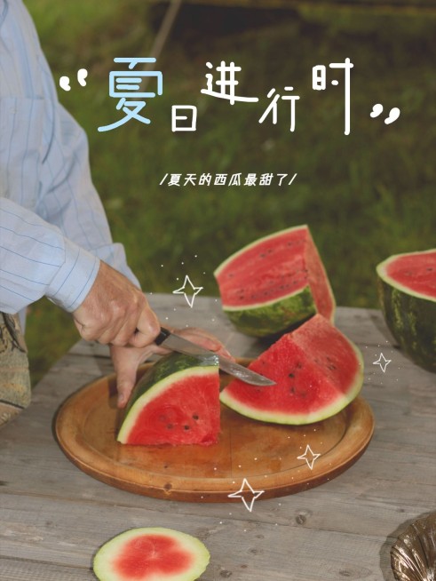 季节夏天词卡西瓜简约风plog模板预览效果