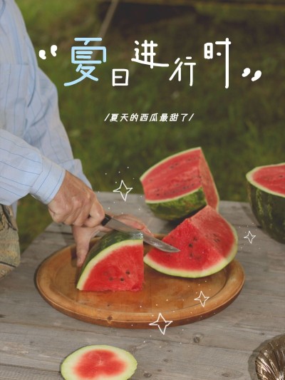 季节夏天词卡西瓜简约风plog模板