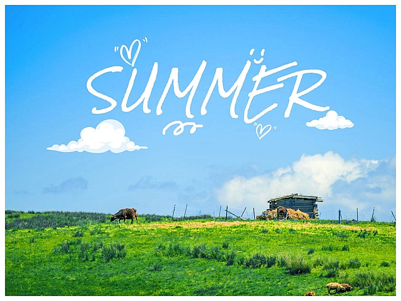 夏天天空云朵风景照简约风plog模板