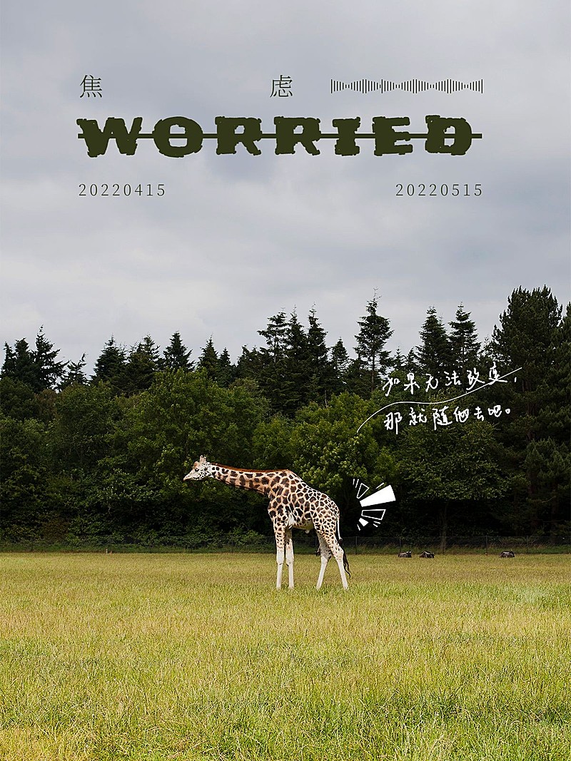 消极情绪词卡户外杂志风plog模板