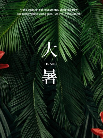 大暑节日记录简约风plog模板