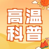 模板缩略图