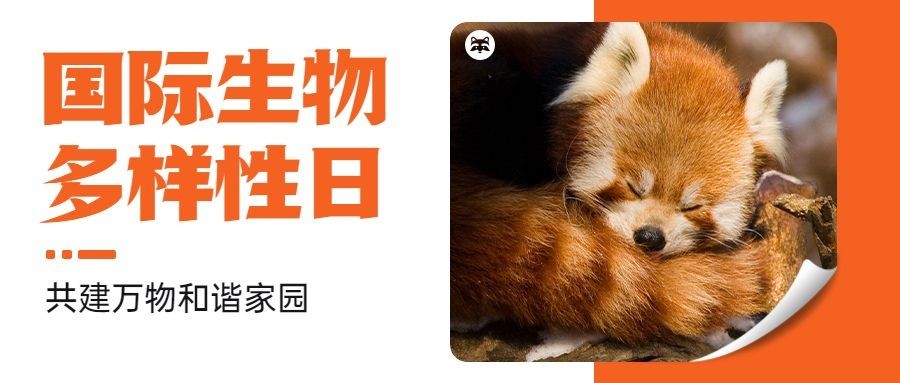 国际生物多样性日公众号首图
