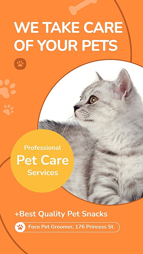 Line Element Cute Style Pet Product Supplies Promo Ecommerce Story