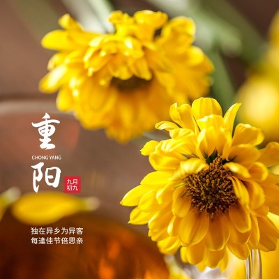 重阳节祝福简约风晒照plog模板