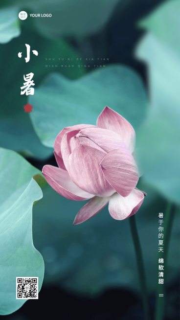 小暑节气祝福排版手机海报预览效果