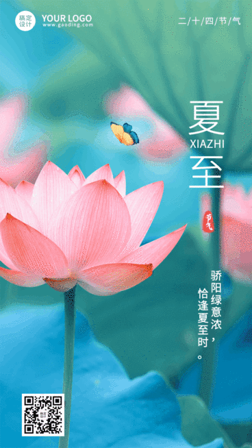 夏至节气祝福排版动态海报预览效果