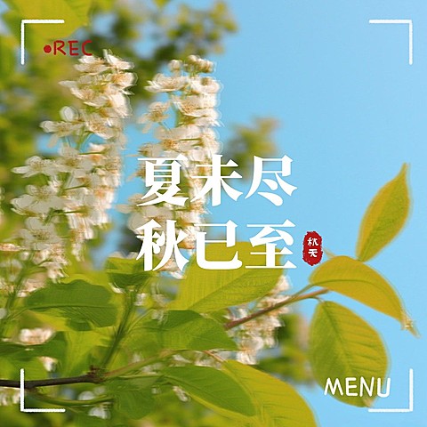 秋天晒风景界面风plog模板