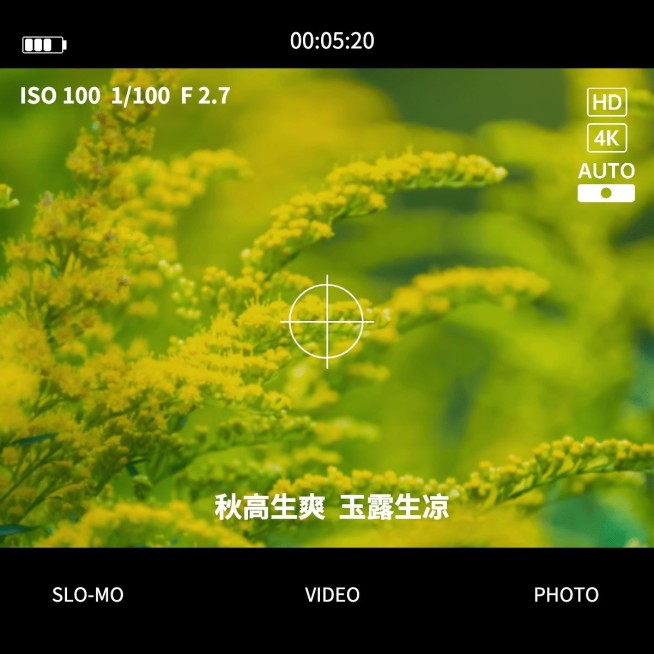 节气白露晒风景界面风plog模板预览效果