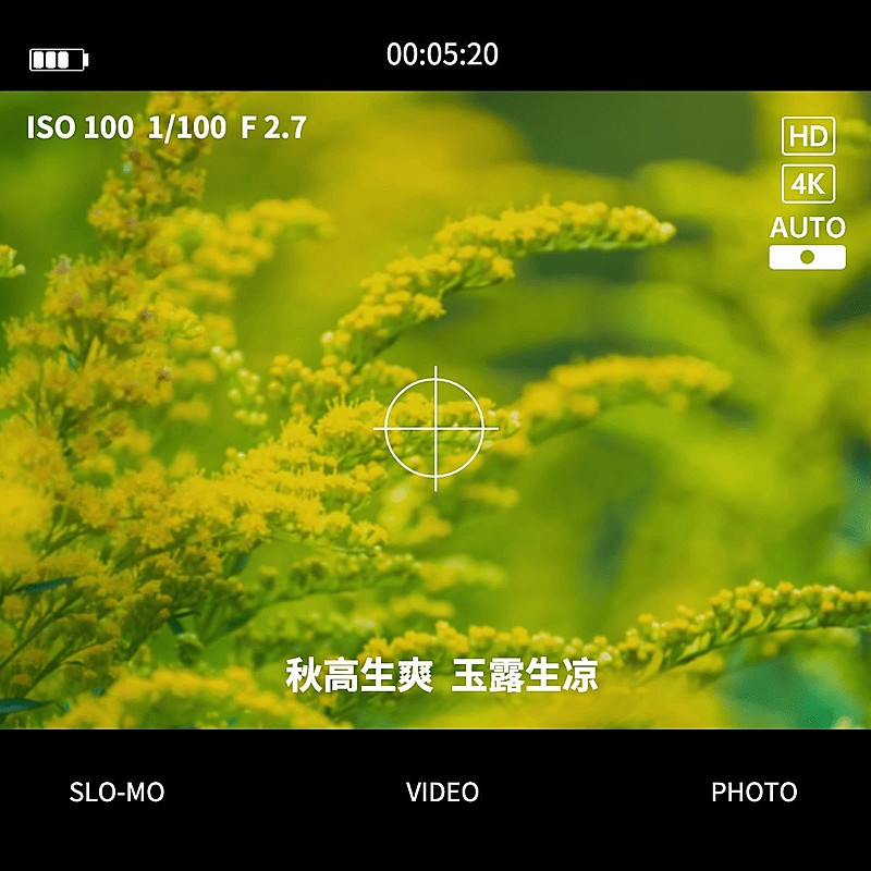 节气白露晒风景界面风plog模板