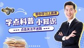模板缩略图