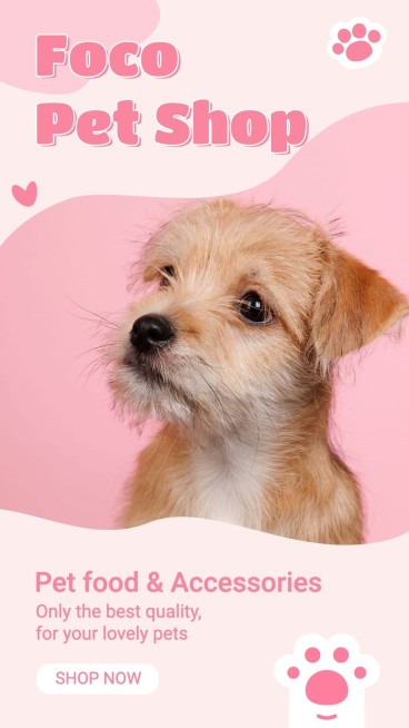 Pink Color Block Cute Style Pet Product Supplies Promo Ecommerce Story预览效果