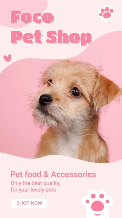 Pink Color Block Cute Style Pet Product Supplies Promo Ecommerce Story