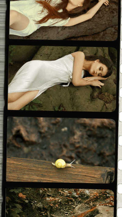 Literary Style Camera interface simulation Life Moment Record Sharing Instagram story